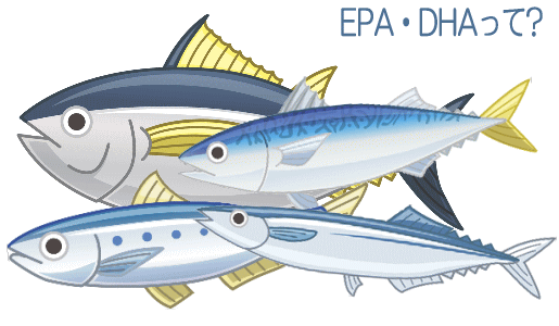 【EPA・DHA】って?何がどうよくてどんな魚にどの位含まれているの
