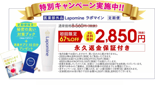 ラポマイン(Lapomine)は、公式サイトでの購入がお得です