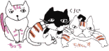 猫2